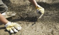 (3010) - La cultura del territorio - La terramara Santa Rosa di Poviglio - Gli scavi